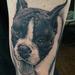 Black and Grey realistic dog portrait Tattoo Design Thumbnail